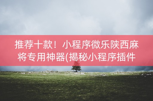 推荐十款！小程序微乐陕西麻将专用神器(揭秘小程序插件购买)