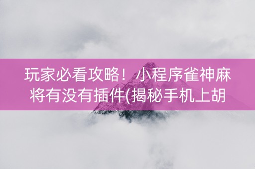 玩家必看攻略！小程序雀神麻将有没有插件(揭秘手机上胡牌神器)