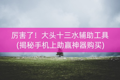 厉害了！大头十三水辅助工具(揭秘手机上助赢神器购买)