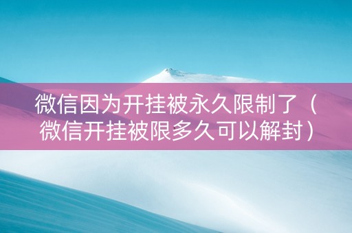 微信因为开挂被永久限制了（微信开挂被限多久可以解封）