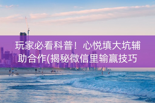 玩家必看科普！心悦填大坑辅助合作(揭秘微信里输赢技巧)