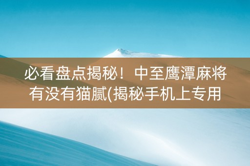 必看盘点揭秘！中至鹰潭麻将有没有猫腻(揭秘手机上专用神器下载)