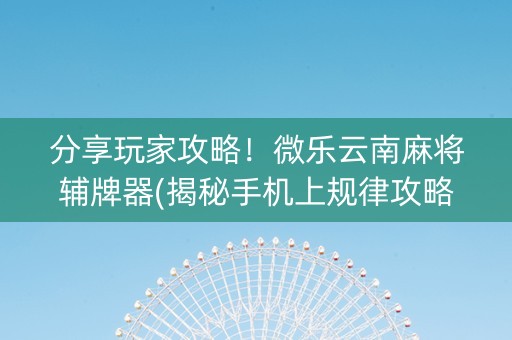 分享玩家攻略！微乐云南麻将辅牌器(揭秘手机上规律攻略)