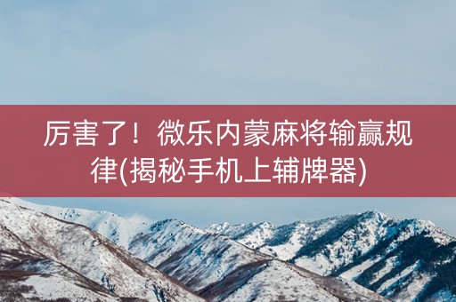厉害了！微乐内蒙麻将输赢规律(揭秘手机上辅牌器)