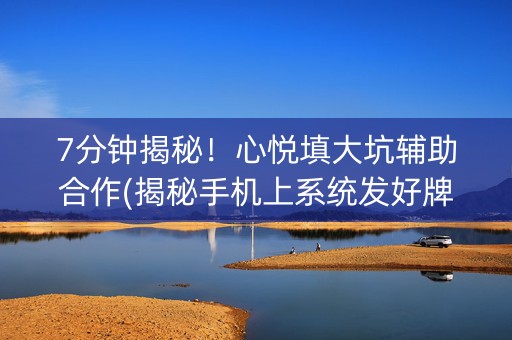 7分钟揭秘！心悦填大坑辅助合作(揭秘手机上系统发好牌)