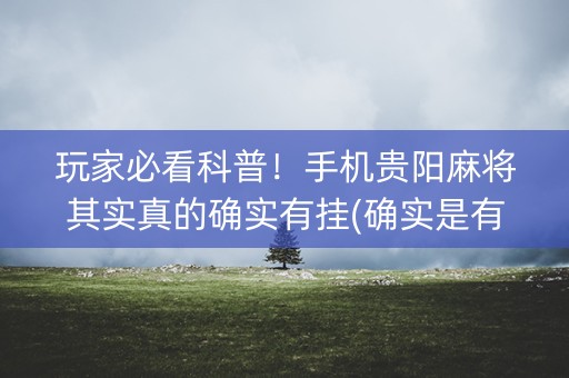 玩家必看科普！手机贵阳麻将其实真的确实有挂(确实是有挂)