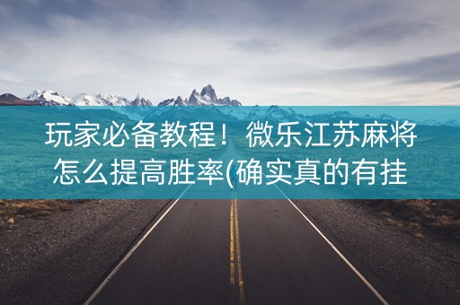 玩家必备教程！微乐江苏麻将怎么提高胜率(确实真的有挂)