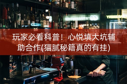 玩家必看科普！心悦填大坑辅助合作(猫腻秘籍真的有挂)