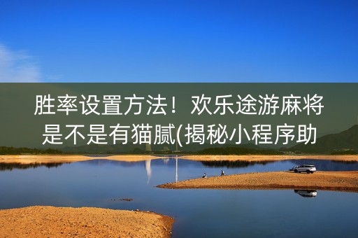 胜率设置方法！欢乐途游麻将是不是有猫腻(揭秘小程序助手软件)
