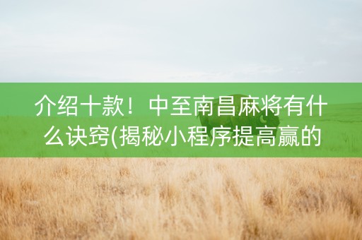 介绍十款！中至南昌麻将有什么诀窍(揭秘小程序提高赢的概率)