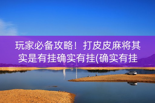 玩家必备攻略！打皮皮麻将其实是有挂确实有挂(确实有挂吗)
