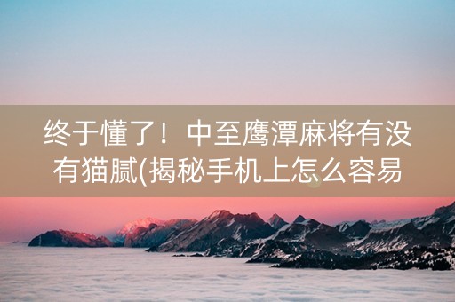终于懂了！中至鹰潭麻将有没有猫腻(揭秘手机上怎么容易赢)