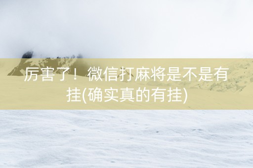 厉害了！微信打麻将是不是有挂(确实真的有挂)