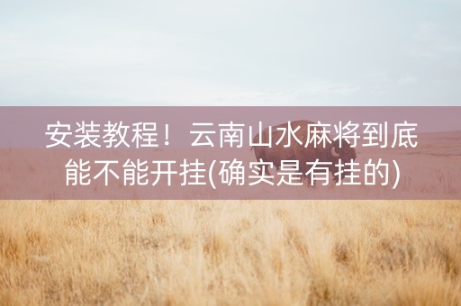 安装教程！云南山水麻将到底能不能开挂(确实是有挂的)
