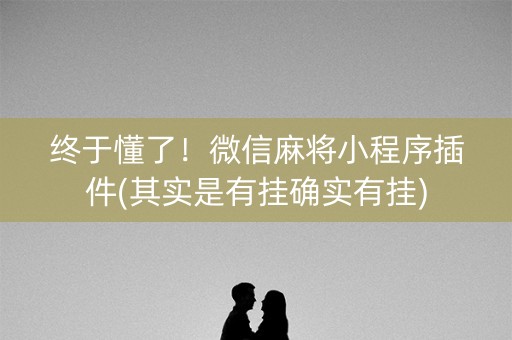 终于懂了！微信麻将小程序插件(其实是有挂确实有挂)
