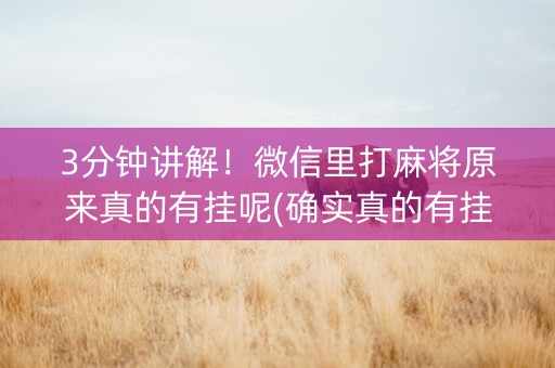 3分钟讲解！微信里打麻将原来真的有挂呢(确实真的有挂)