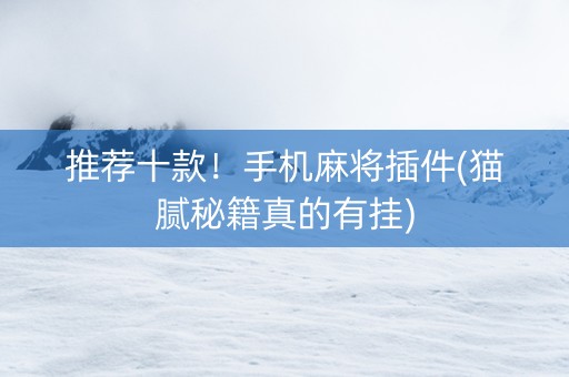 推荐十款！手机麻将插件(猫腻秘籍真的有挂)