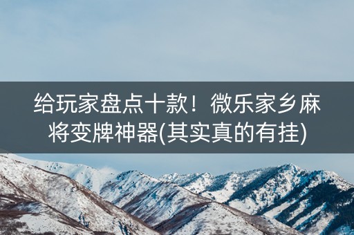 给玩家盘点十款！微乐家乡麻将变牌神器(其实真的有挂)