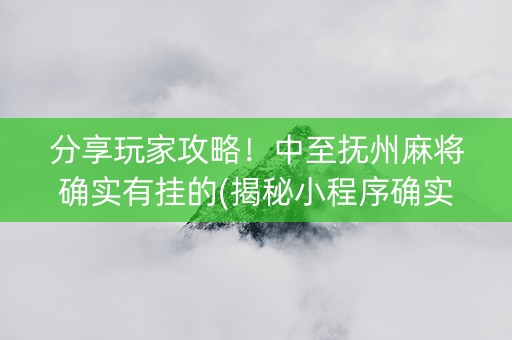 分享玩家攻略！中至抚州麻将确实有挂的(揭秘小程序确实有猫腻)