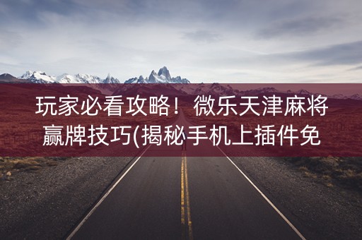玩家必看攻略！微乐天津麻将赢牌技巧(揭秘手机上插件免费)