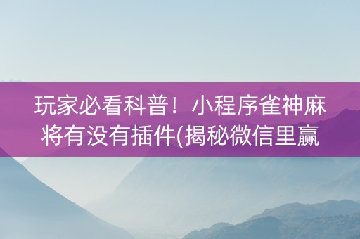 玩家必看科普！小程序雀神麻将有没有插件(揭秘微信里赢牌的技巧)