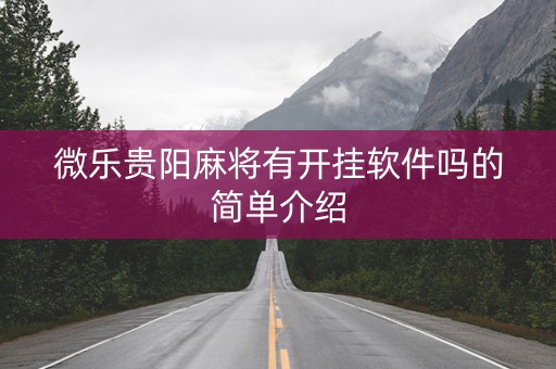 微乐贵阳麻将有开挂软件吗的简单介绍
