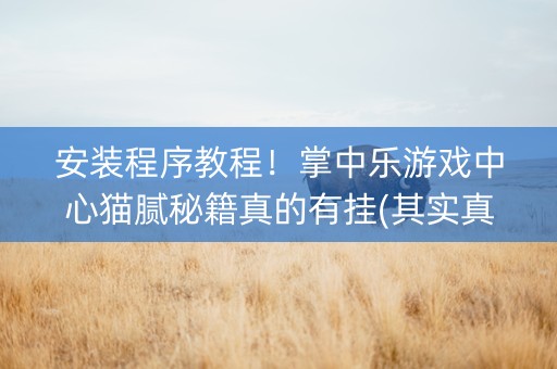 安装程序教程！掌中乐游戏中心猫腻秘籍真的有挂(其实真的确实有挂)