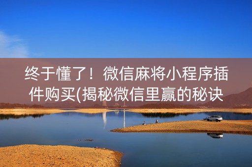 终于懂了！微信麻将小程序插件购买(揭秘微信里赢的秘诀)