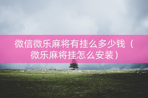 微信微乐麻将有挂么多少钱（微乐麻将挂怎么安装）