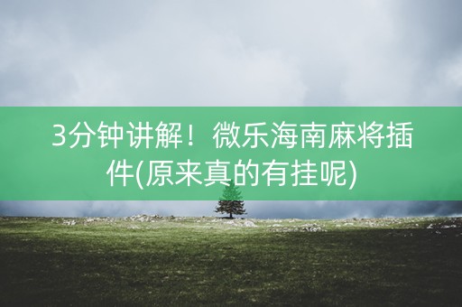 3分钟讲解！微乐海南麻将插件(原来真的有挂呢)
