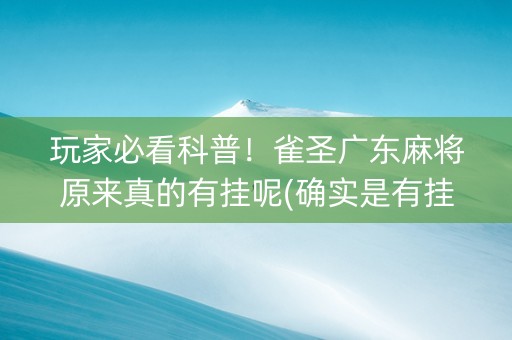 玩家必看科普！雀圣广东麻将原来真的有挂呢(确实是有挂)