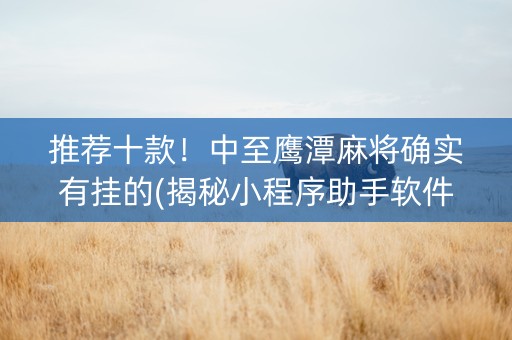 推荐十款！中至鹰潭麻将确实有挂的(揭秘小程序助手软件)
