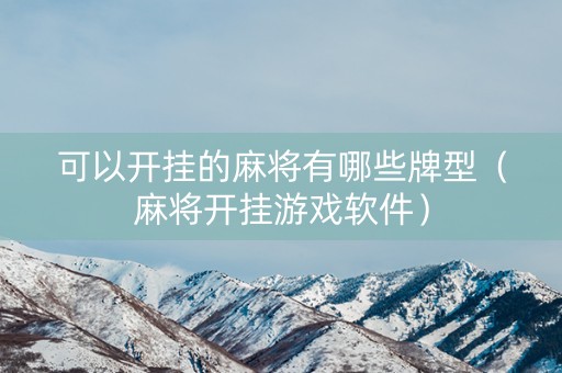 可以开挂的麻将有哪些牌型（麻将开挂游戏软件）