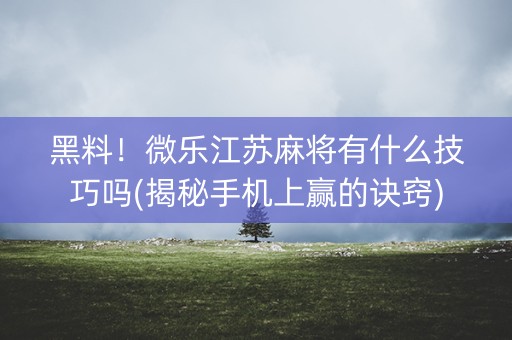 黑料！微乐江苏麻将有什么技巧吗(揭秘手机上赢的诀窍)