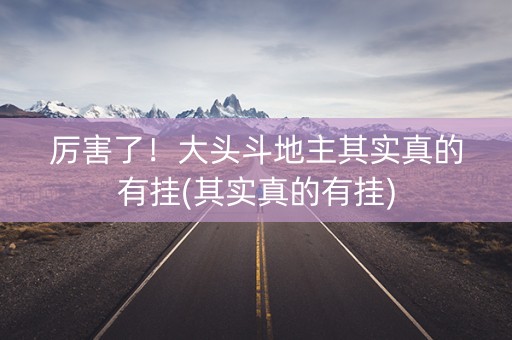 厉害了！大头斗地主其实真的有挂(其实真的有挂)