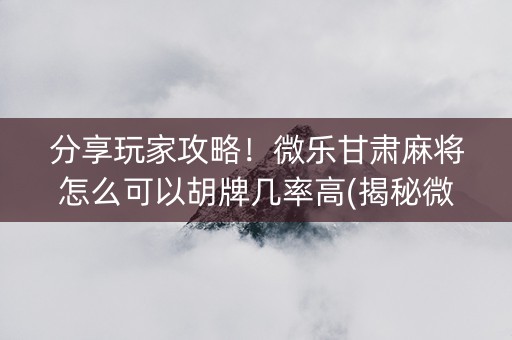 分享玩家攻略！微乐甘肃麻将怎么可以胡牌几率高(揭秘微信里输赢技巧)