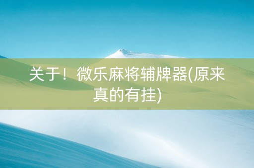 关于！微乐麻将辅牌器(原来真的有挂)