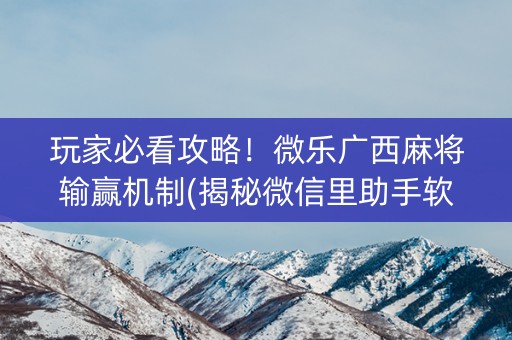 玩家必看攻略！微乐广西麻将输赢机制(揭秘微信里助手软件)
