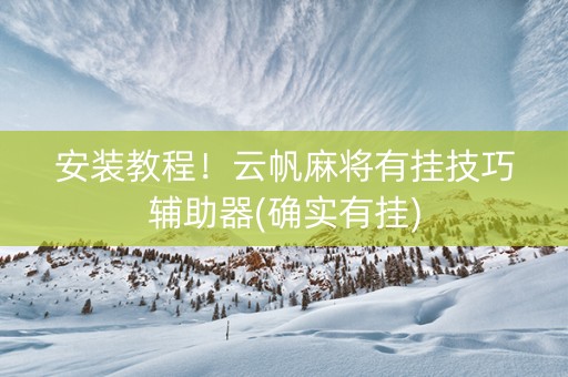 安装教程！云帆麻将有挂技巧辅助器(确实有挂)