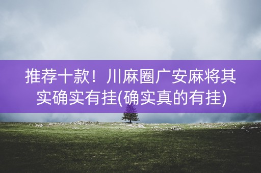 推荐十款！川麻圈广安麻将其实确实有挂(确实真的有挂)