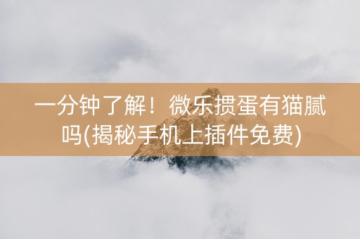 一分钟了解！微乐掼蛋有猫腻吗(揭秘手机上插件免费)