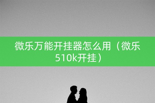 微乐万能开挂器怎么用（微乐510k开挂）