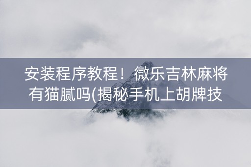 安装程序教程！微乐吉林麻将有猫腻吗(揭秘手机上胡牌技巧)