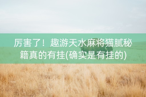 厉害了！趣游天水麻将猫腻秘籍真的有挂(确实是有挂的)