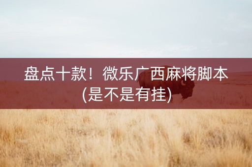 盘点十款！微乐广西麻将脚本(是不是有挂)