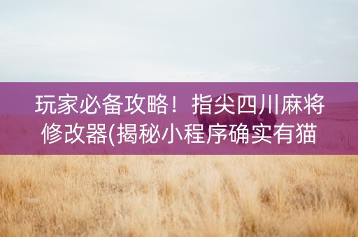 玩家必备攻略！指尖四川麻将修改器(揭秘小程序确实有猫腻)