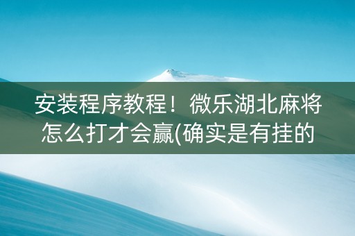 安装程序教程！微乐湖北麻将怎么打才会赢(确实是有挂的)