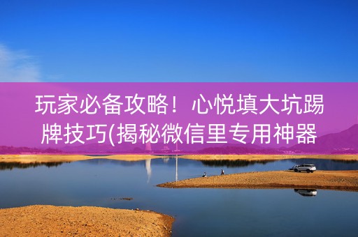 玩家必备攻略！心悦填大坑踢牌技巧(揭秘微信里专用神器下载)