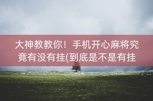 大神教教你！手机开心麻将究竟有没有挂(到底是不是有挂)