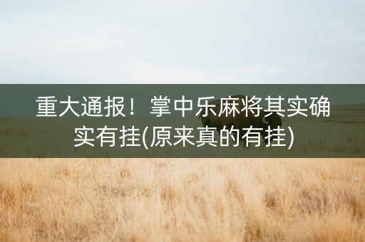 重大通报！掌中乐麻将其实确实有挂(原来真的有挂)